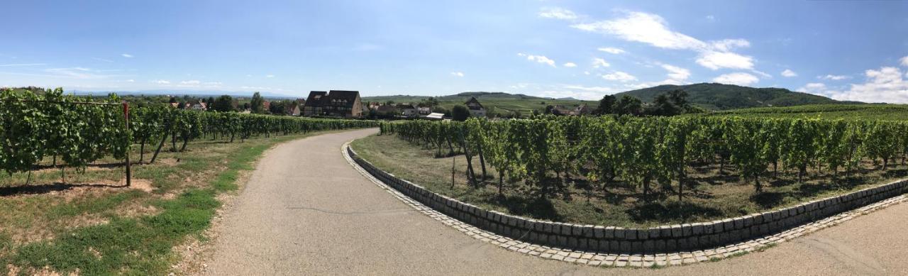 Hotel Le Riquewihr Zewnętrze zdjęcie